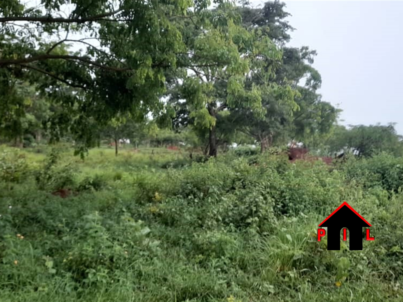 Residential Land for sale in Rwenjeru Mbarara