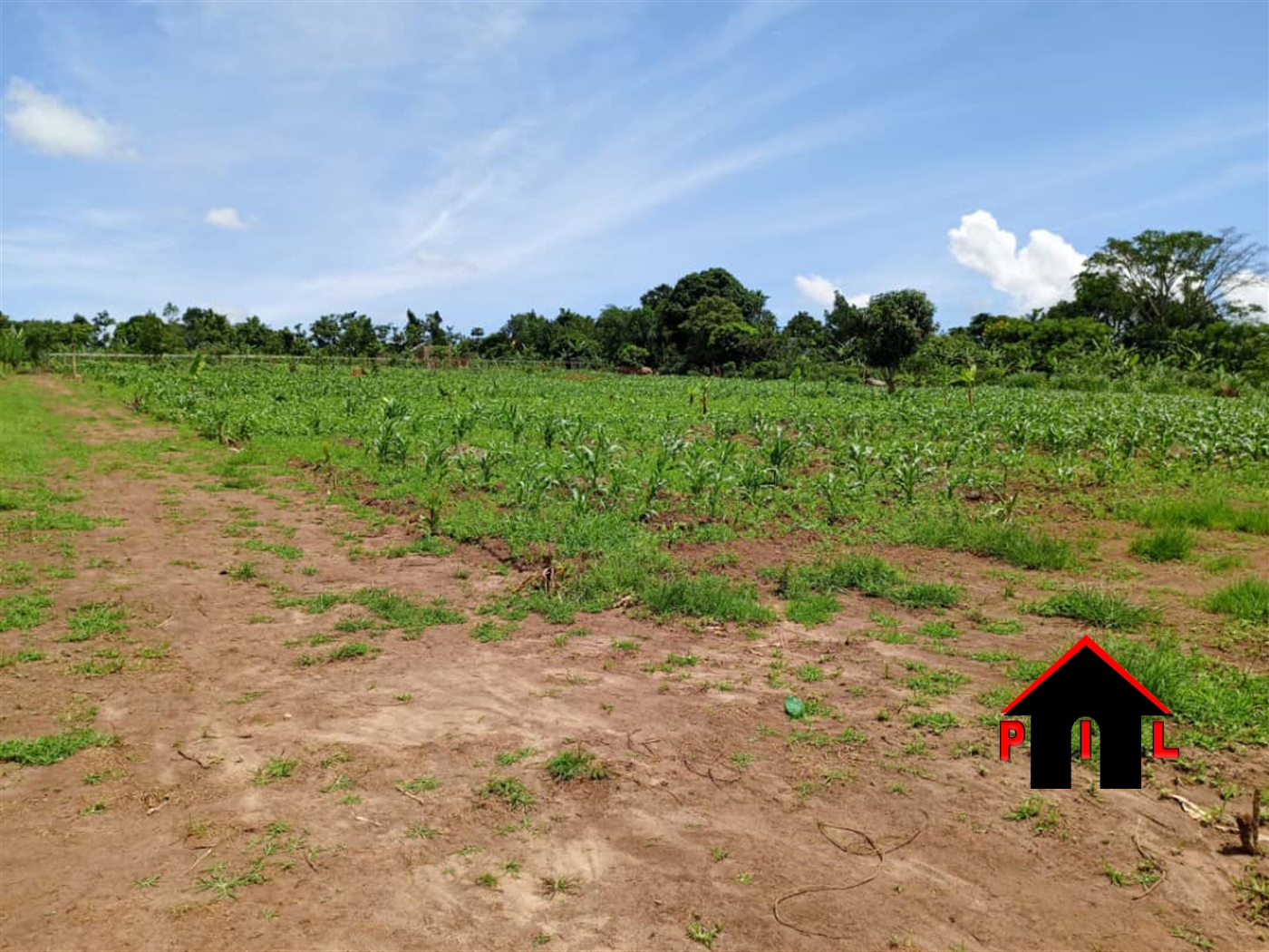 Commercial Land for sale in Kanyaryeru Kiruhura