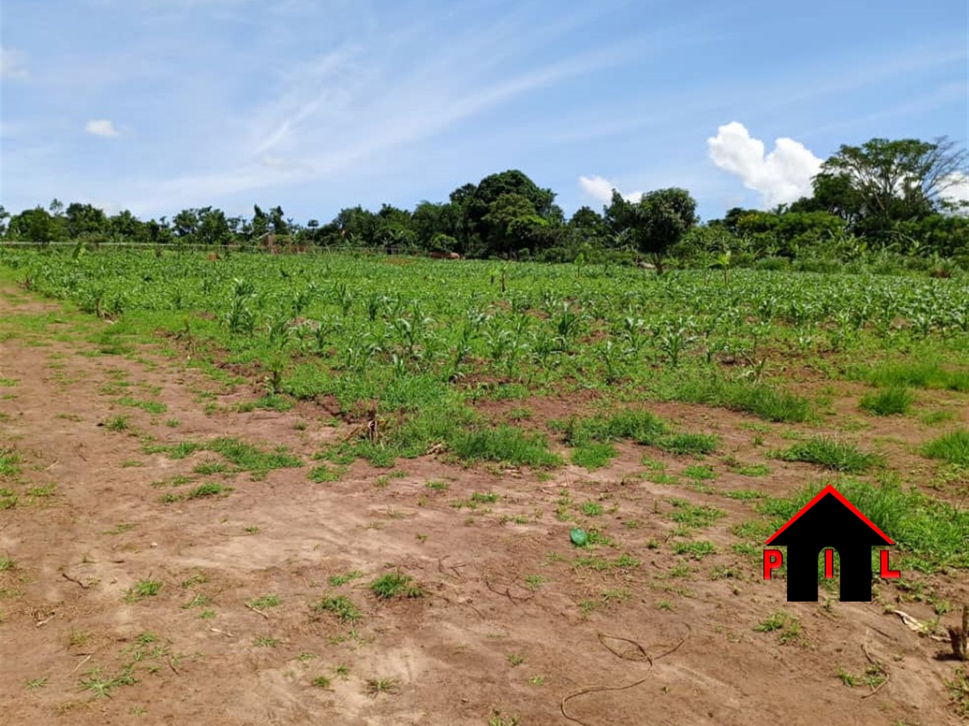 Commercial Land for sale in Kanyaryeru Kiruhura