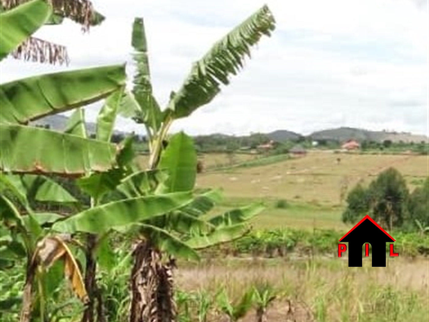 Residential Land for sale in Omukabale Mbarara