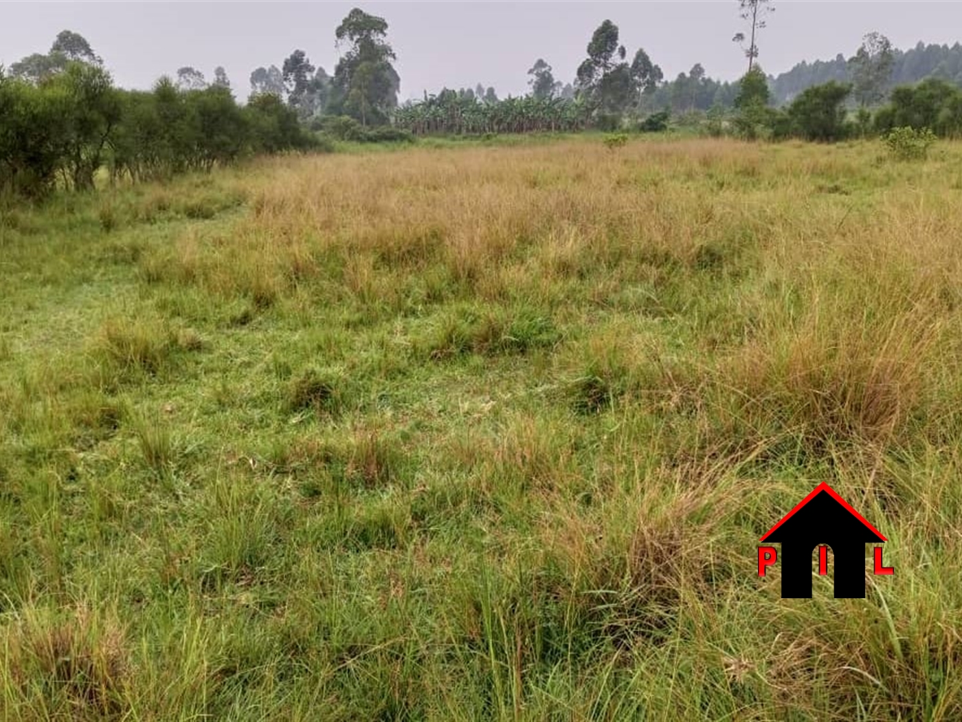 Residential Land for sale in Koranorya Mbarara