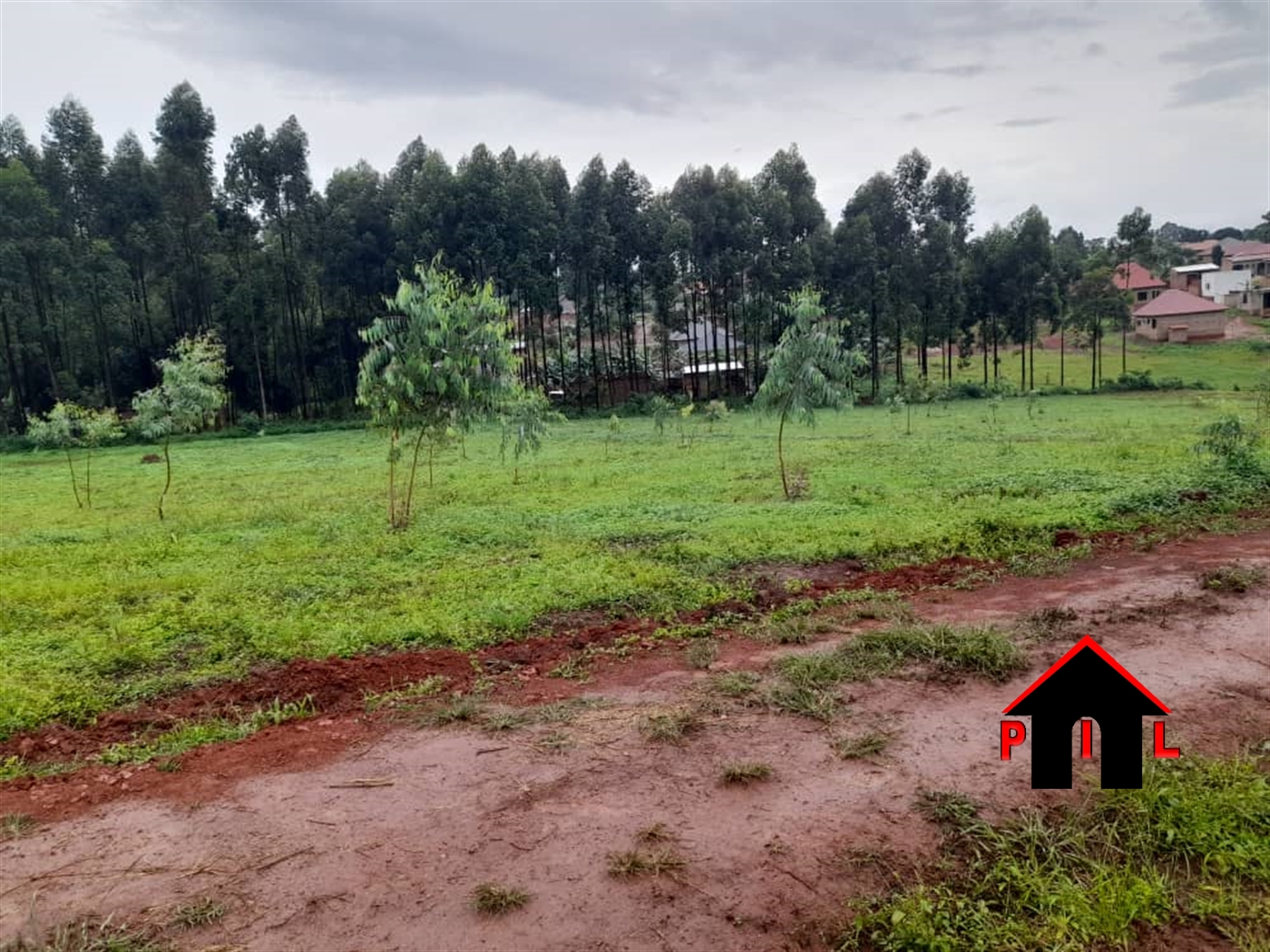 Commercial Land for sale in Buyale Kiryandongo