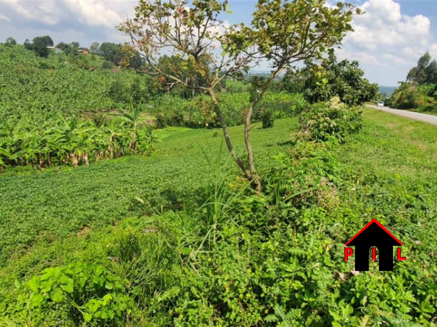 Commercial Land for sale in Mugusu Mbarara