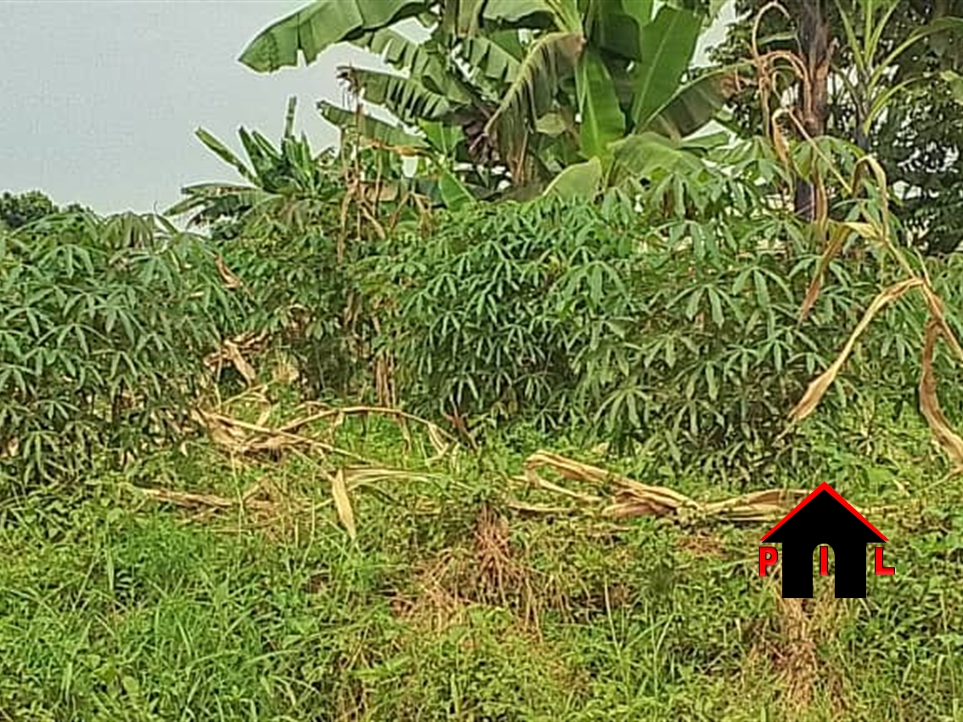 Commercial Land for sale in Baja Mukono