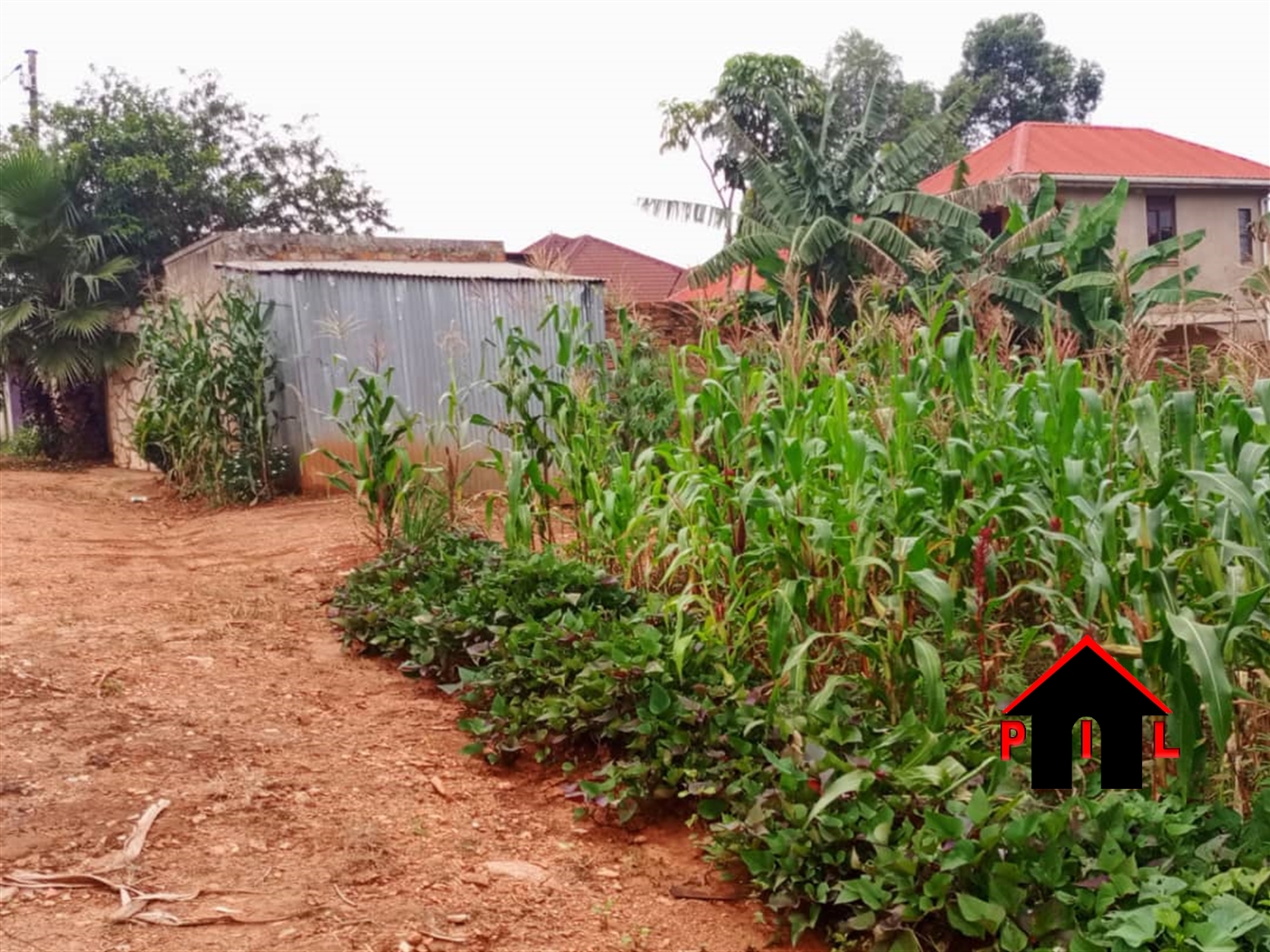 Commercial Land for sale in Nabusungwe Wakiso