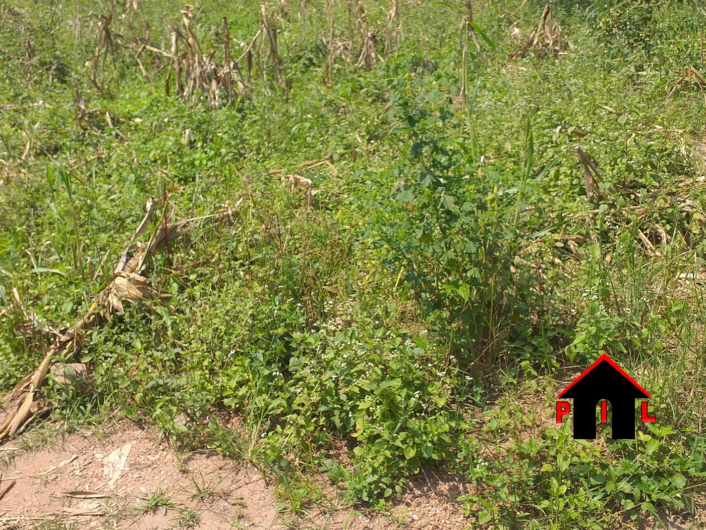 Residential Land for sale in Rwenjeru Mbarara