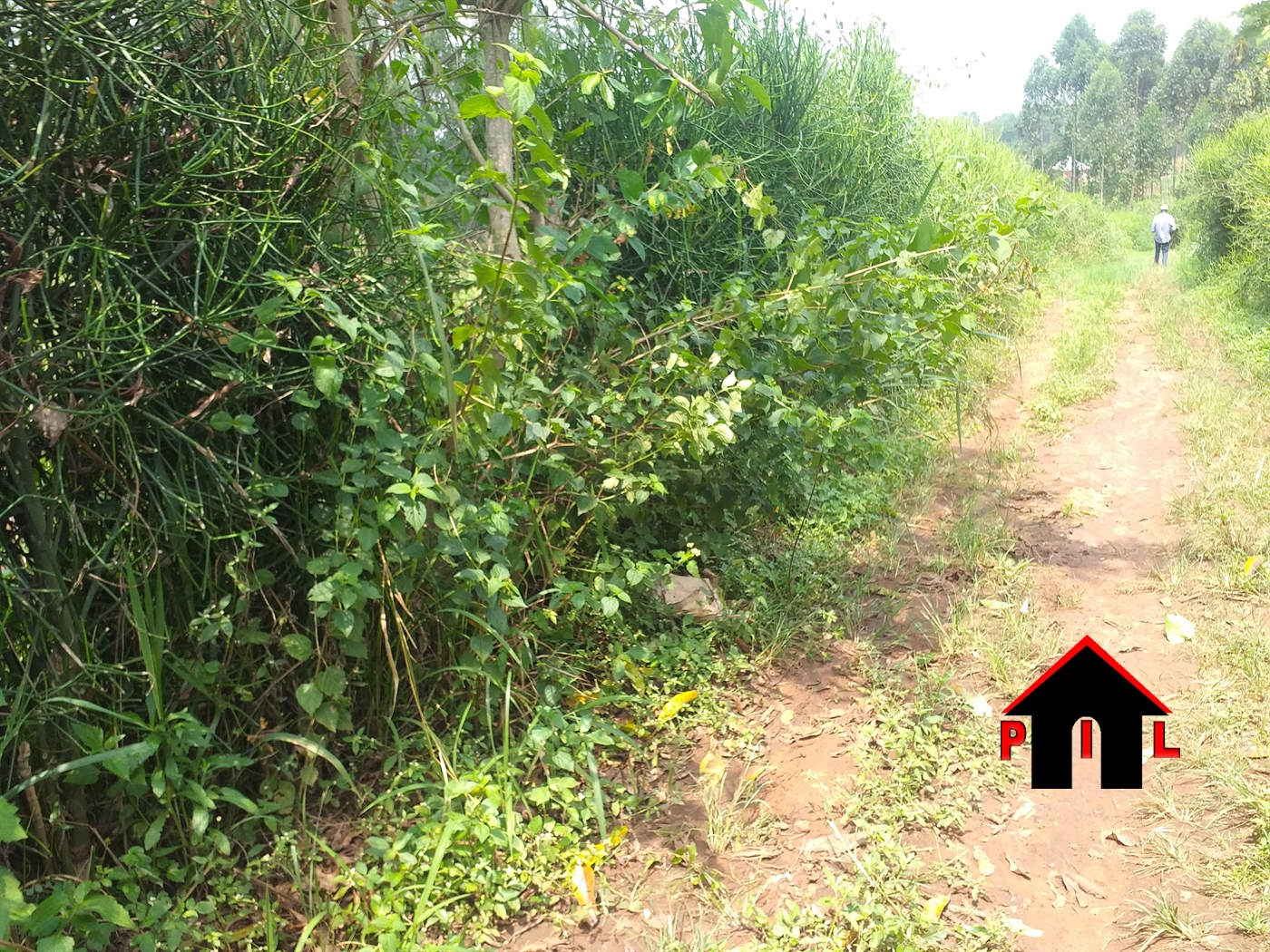 Agricultural Land for sale in Katojo Mbarara