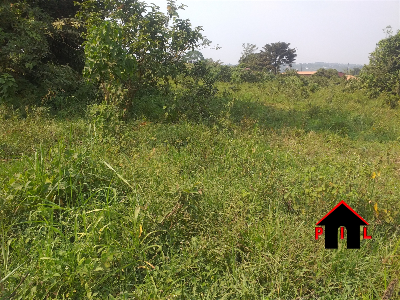 Residential Land for sale in Kalule Luweero
