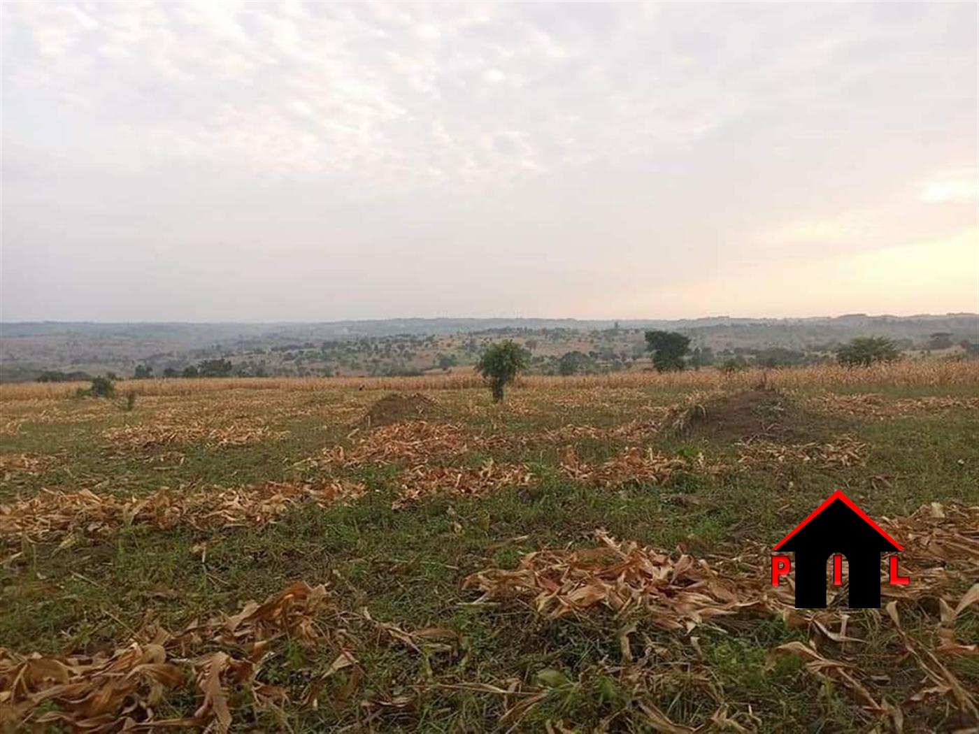 Commercial Land for sale in Kyangwali Kibuube