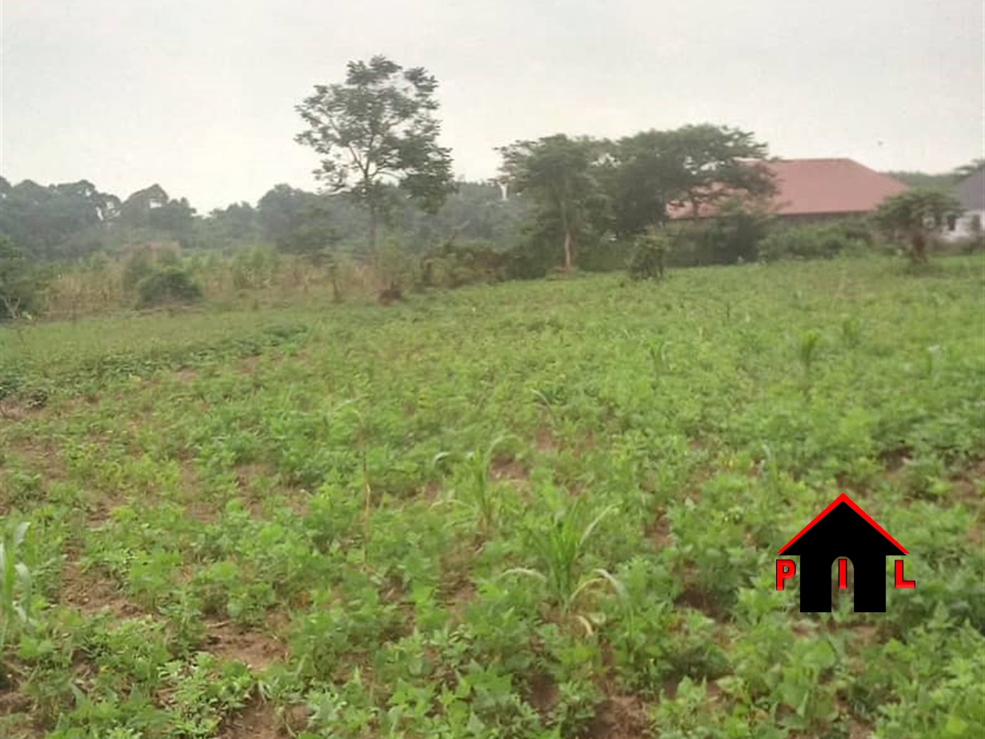 Residential Land for sale in Kiwangula Kayunga