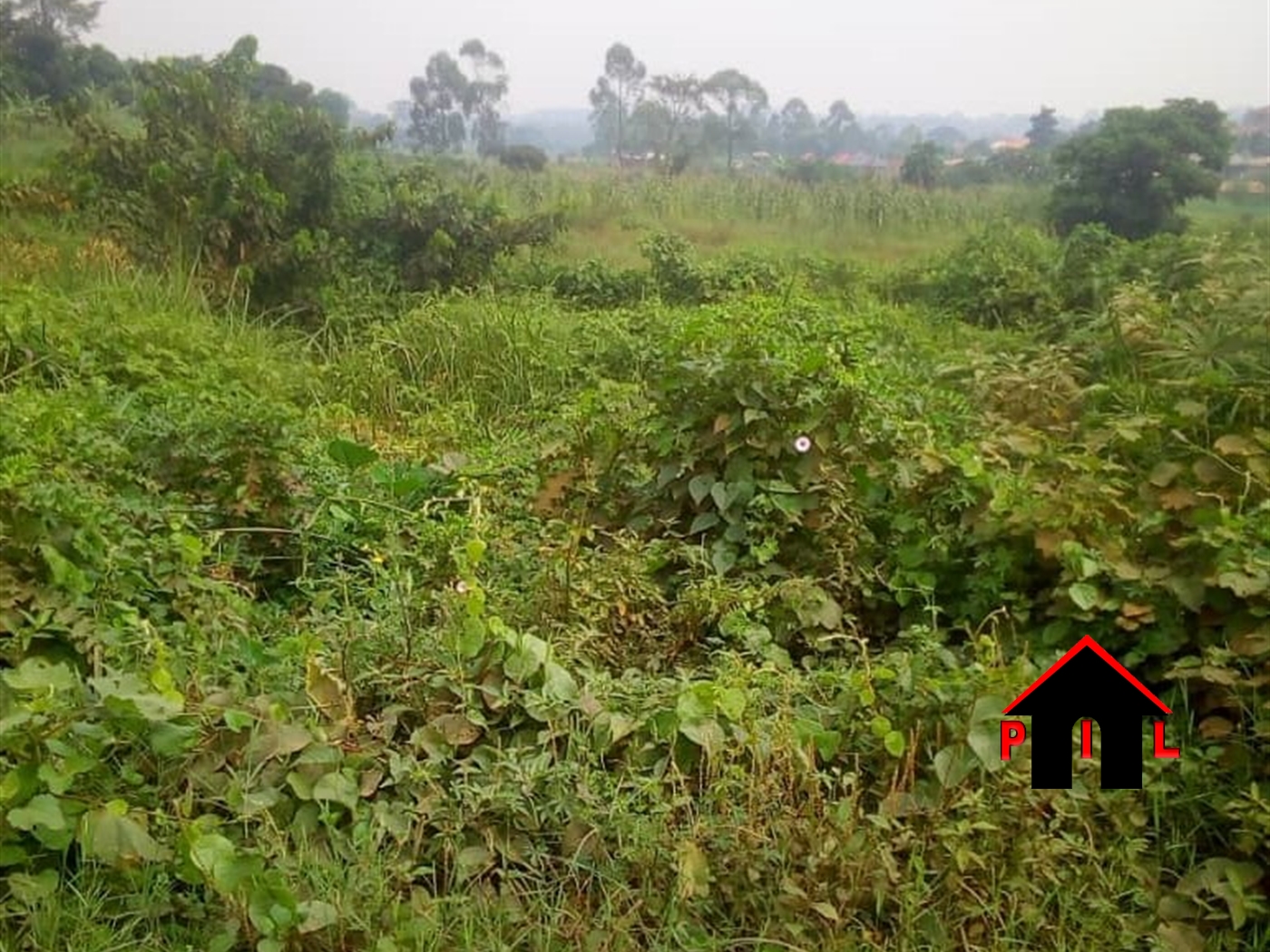 Commercial Land for sale in Kasangati Wakiso