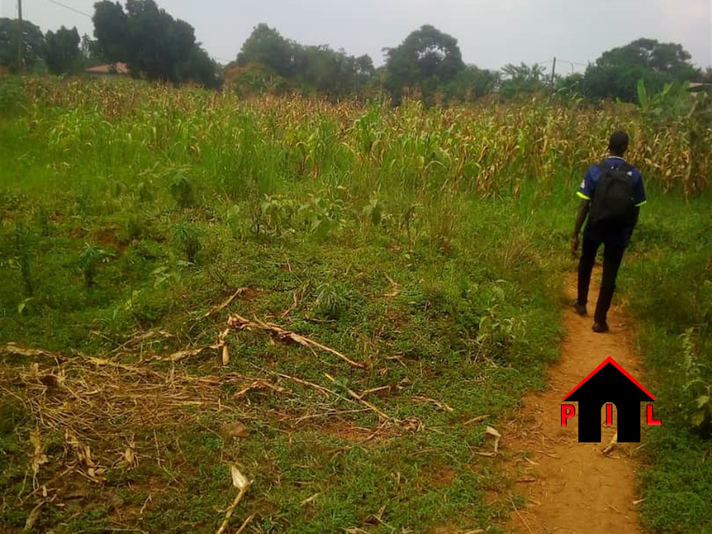 Agricultural Land for sale in Nakilebe Mpigi