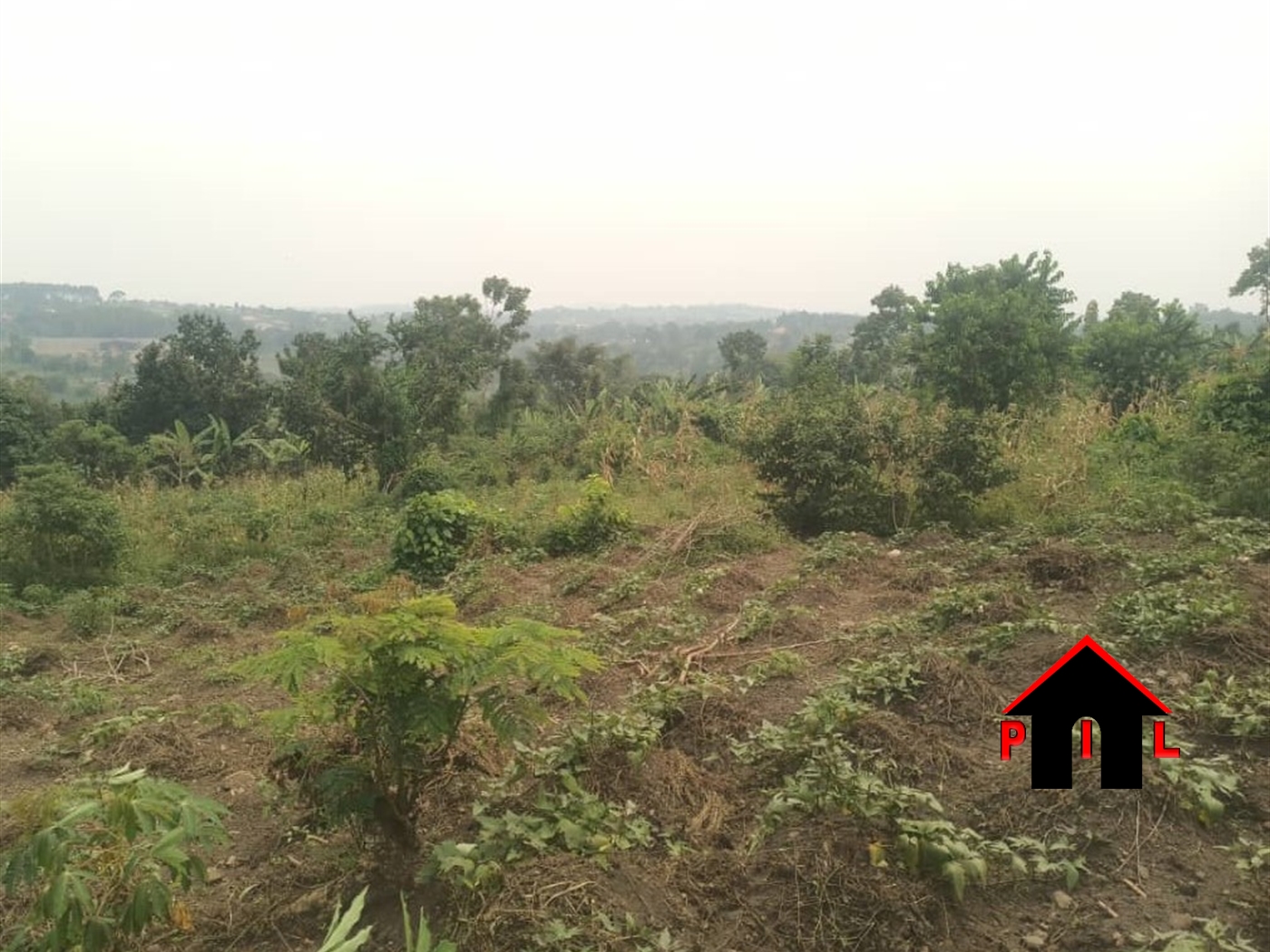 Residential Land for sale in Ngogwe Mukono