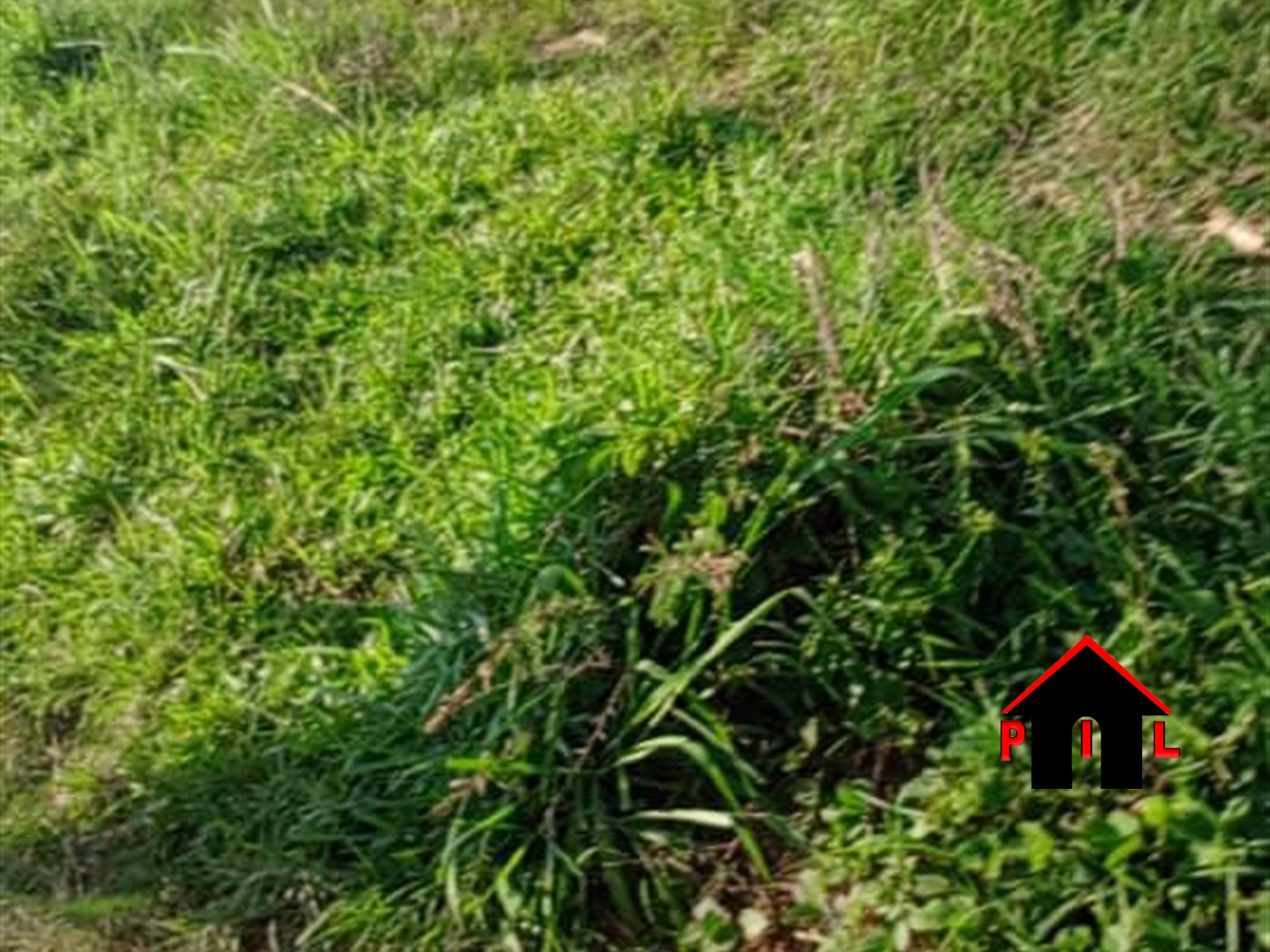 Commercial Land for sale in Kabulasoke Gomba