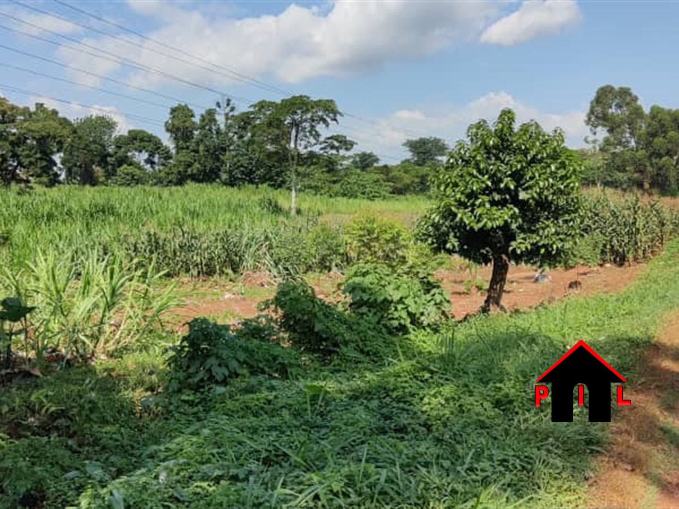 Commercial Land for sale in Njeru Buyikwe