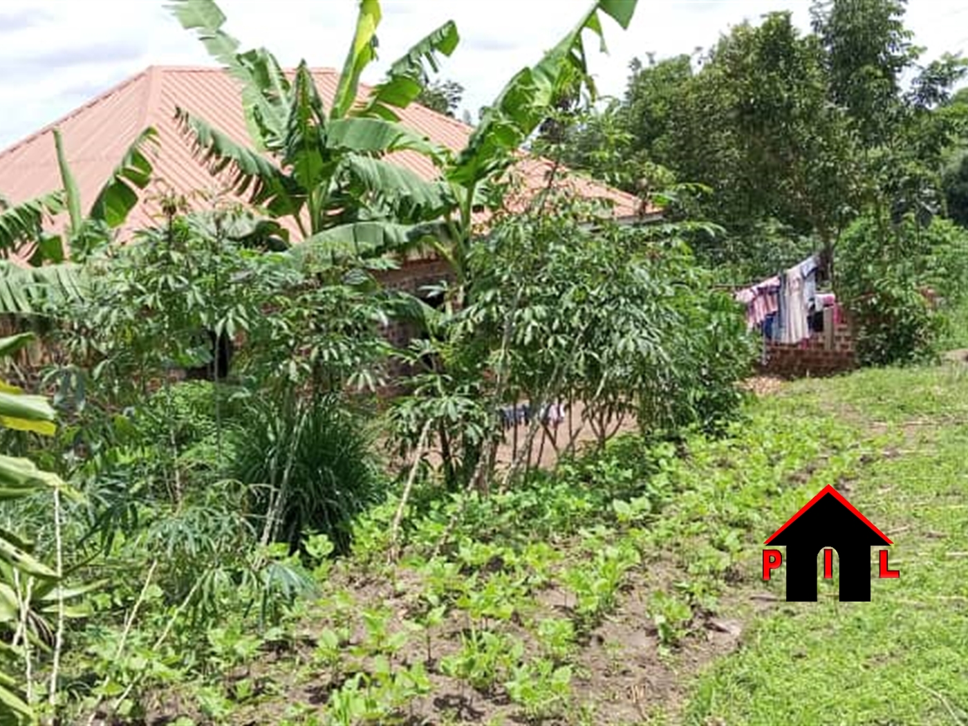 Agricultural Land for sale in Rushenyi Ntungamo