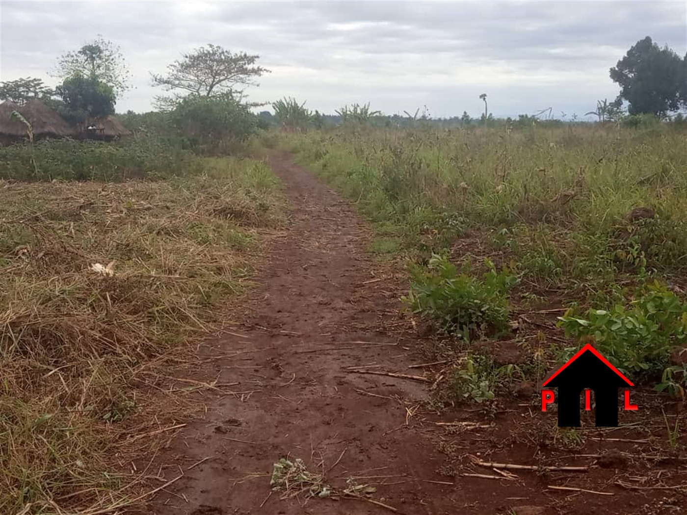 Agricultural Land for sale in Karukwanzi Kyenjojo