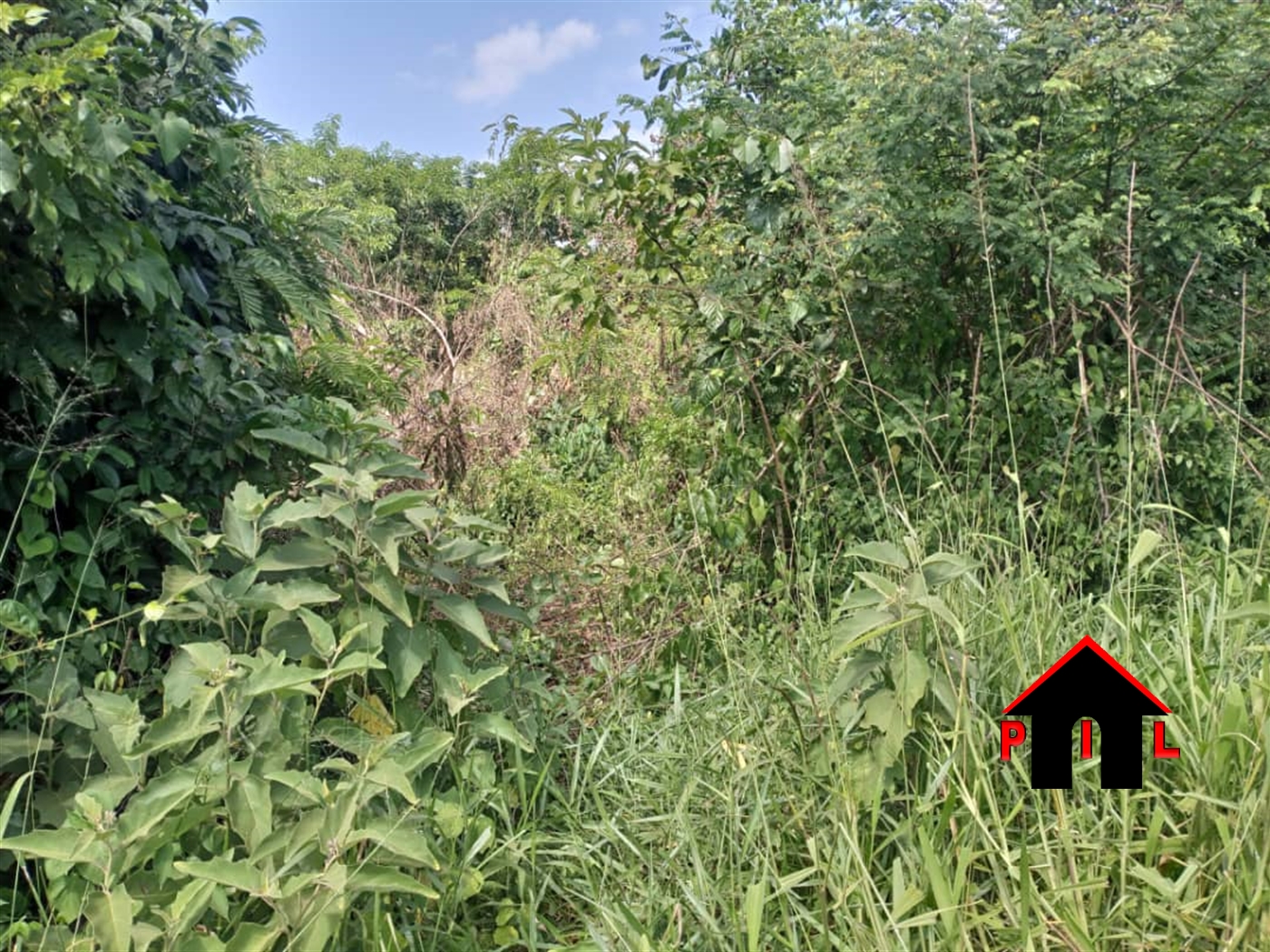 Agricultural Land for sale in Rubaale Ntungamo