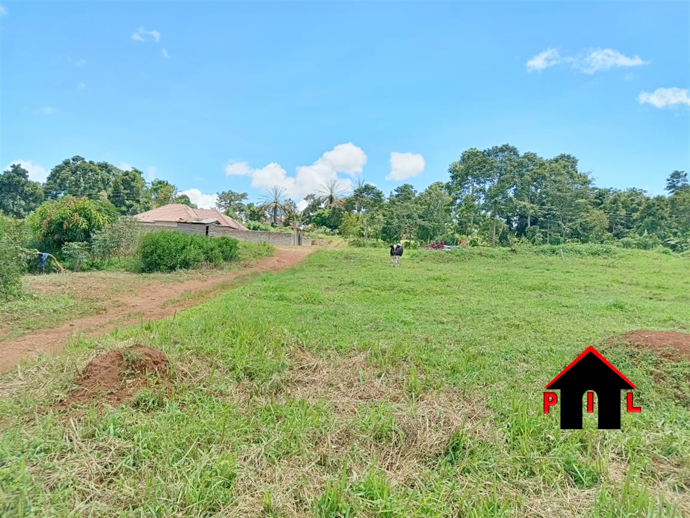 Commercial Land for sale in Rubare Ntungamo