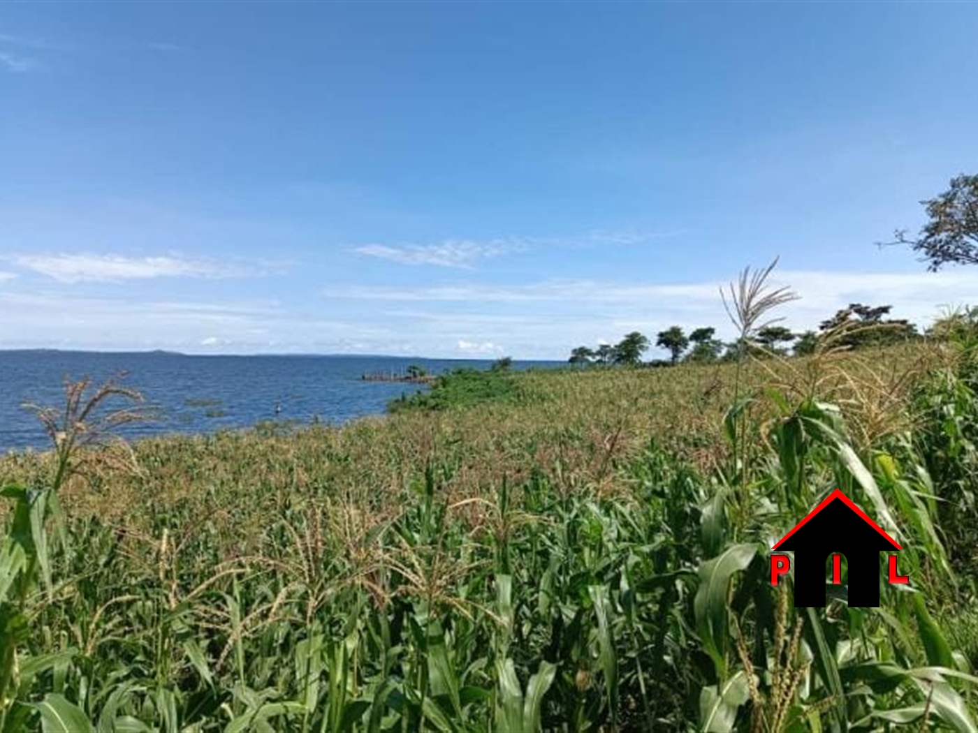 Agricultural Land for sale in Ngooma Ntungamo