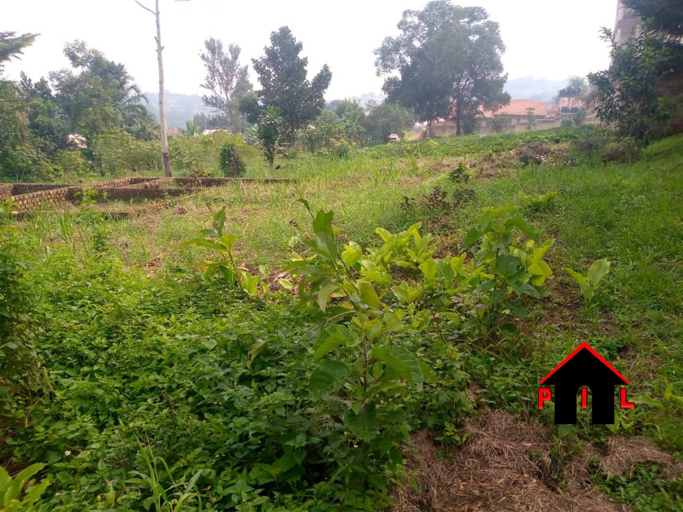 Commercial Land for sale in Nakilebe Mpigi
