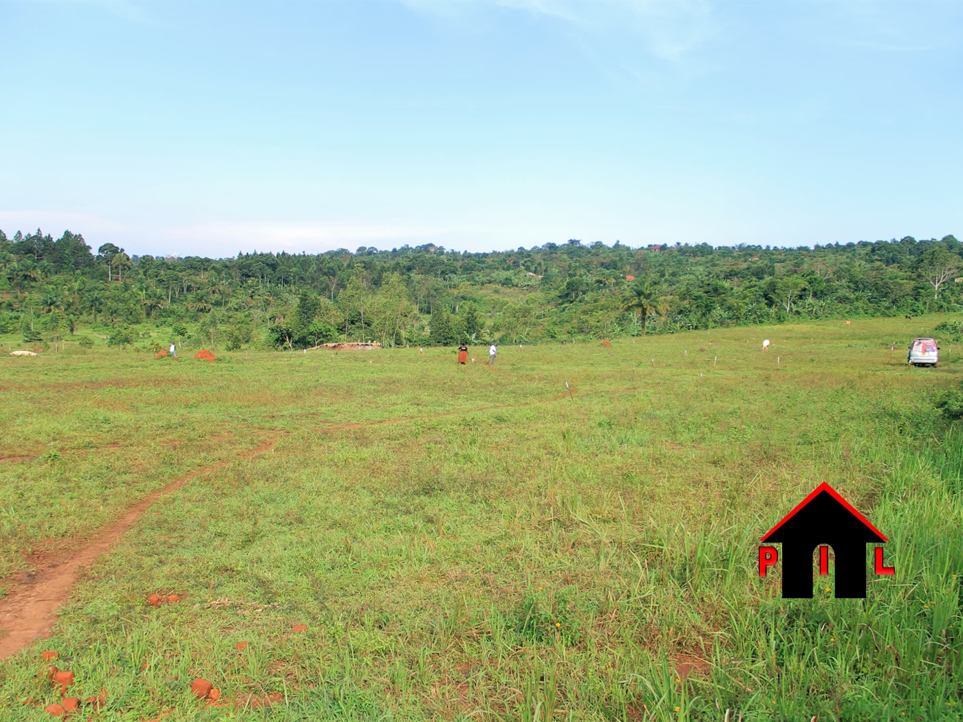 Agricultural Land for sale in Kasiso Luweero