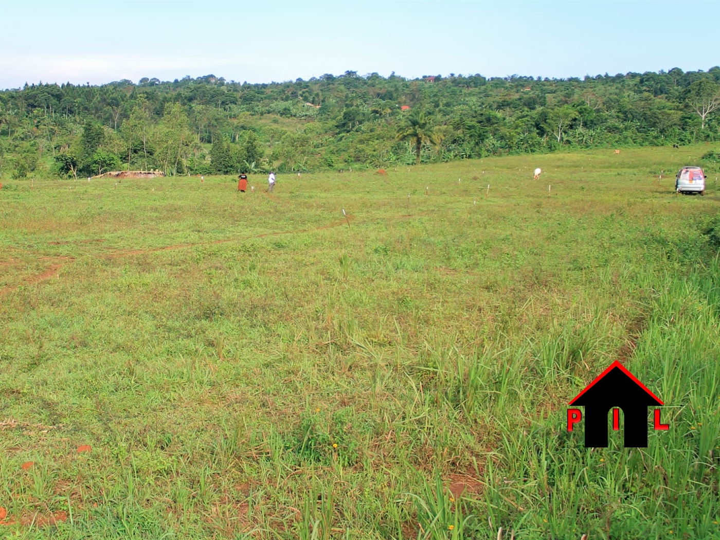 Agricultural Land for sale in Kasiso Luweero