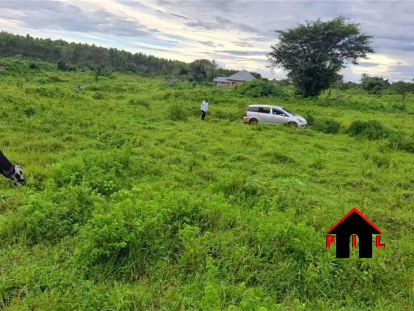 Agricultural Land for sale in Banda Mityana