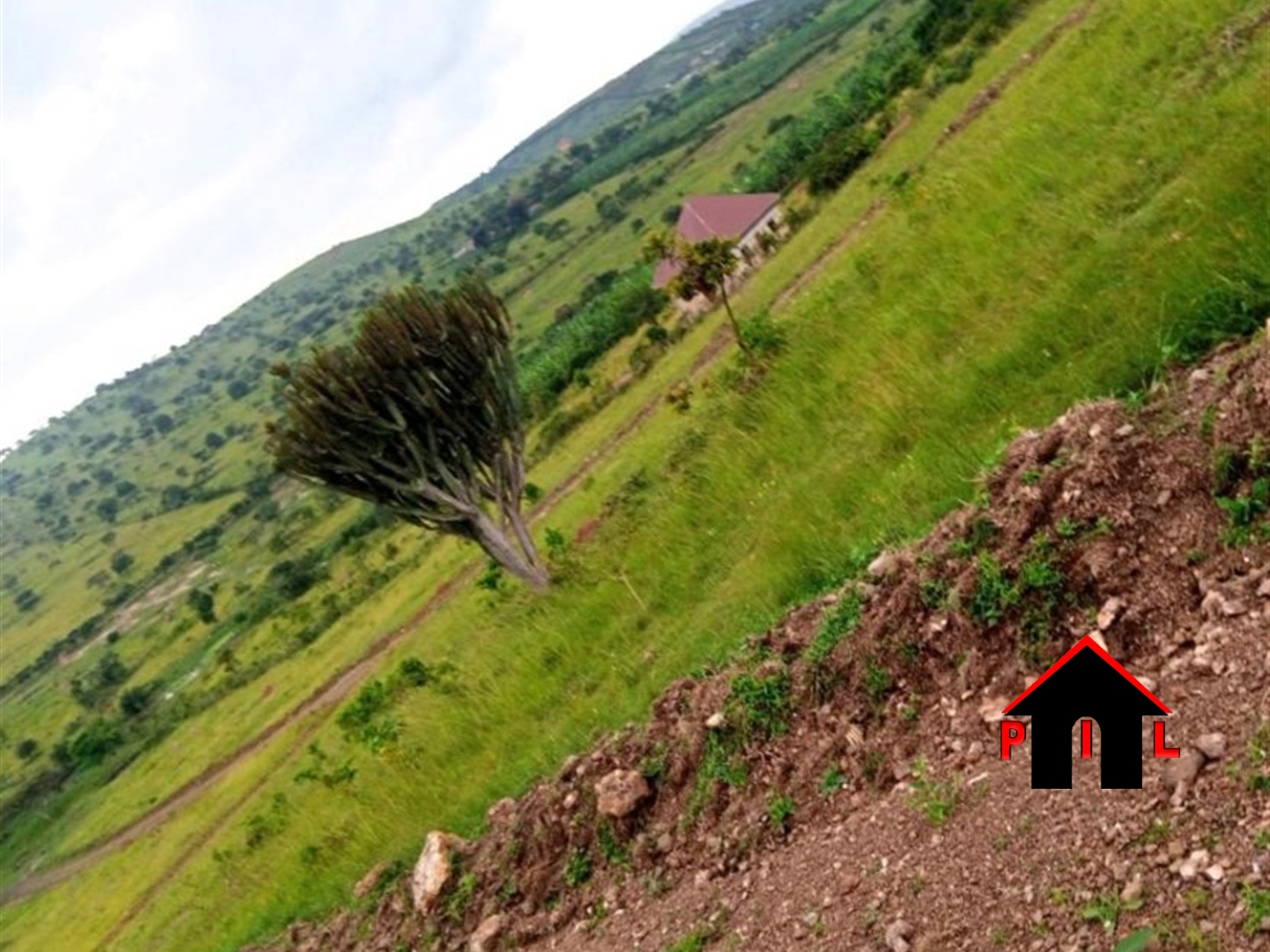Commercial Land for sale in Biharwe Mbarara