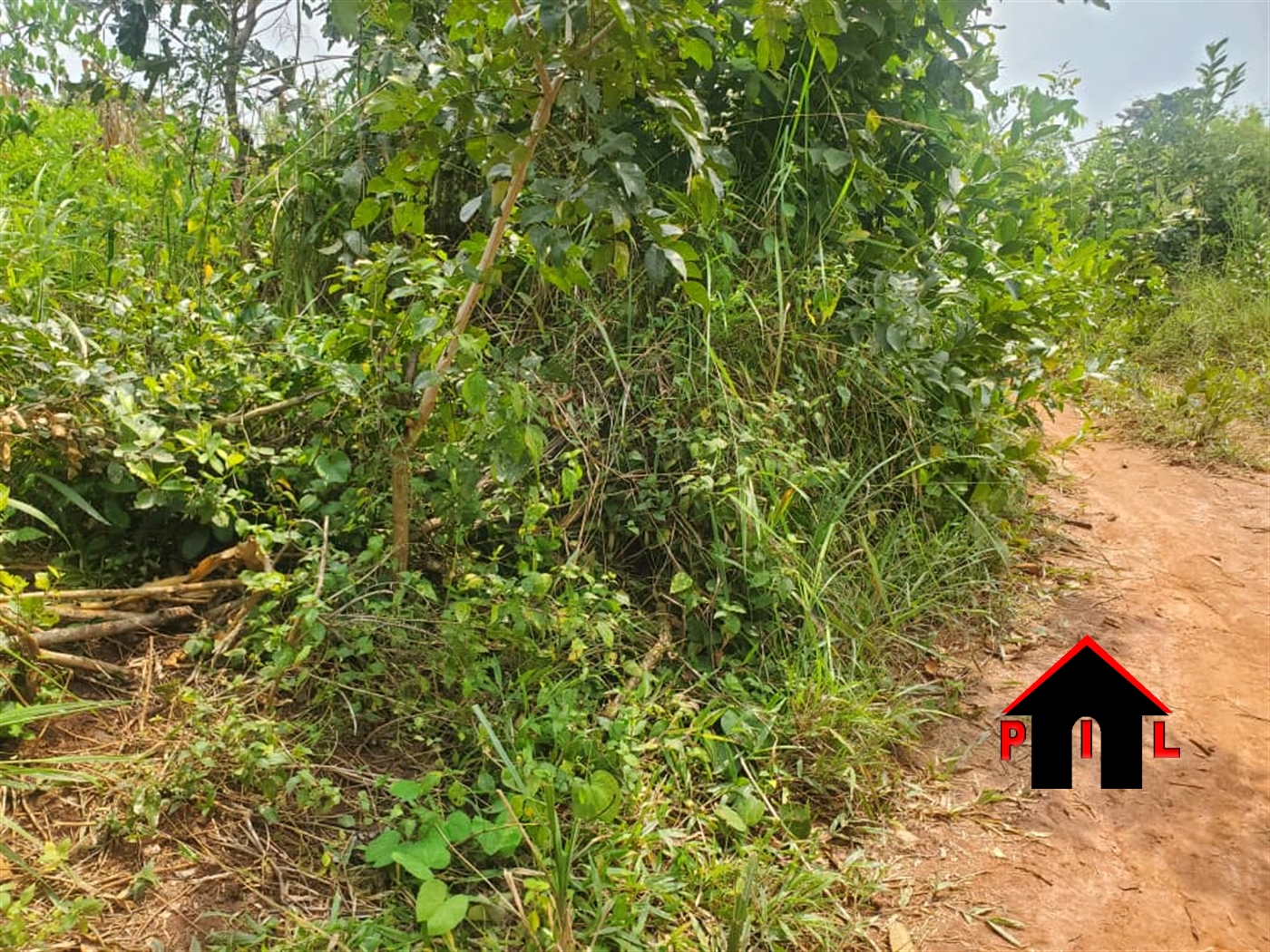 Agricultural Land for sale in Bamugolodde Luweero