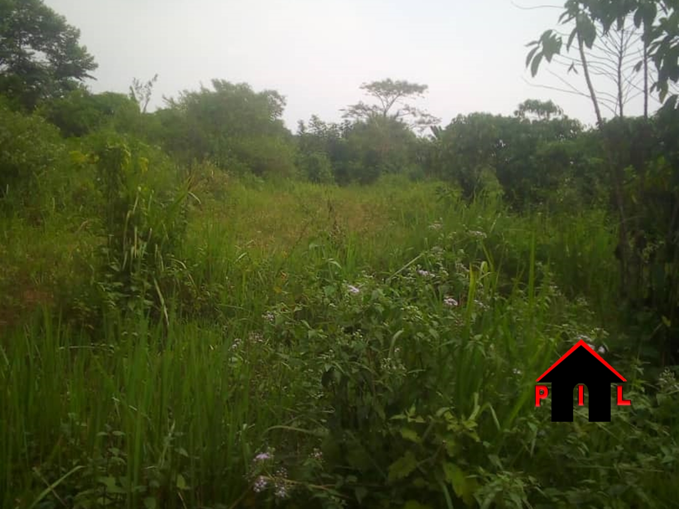 Commercial Land for sale in Kaleelwe Wakiso