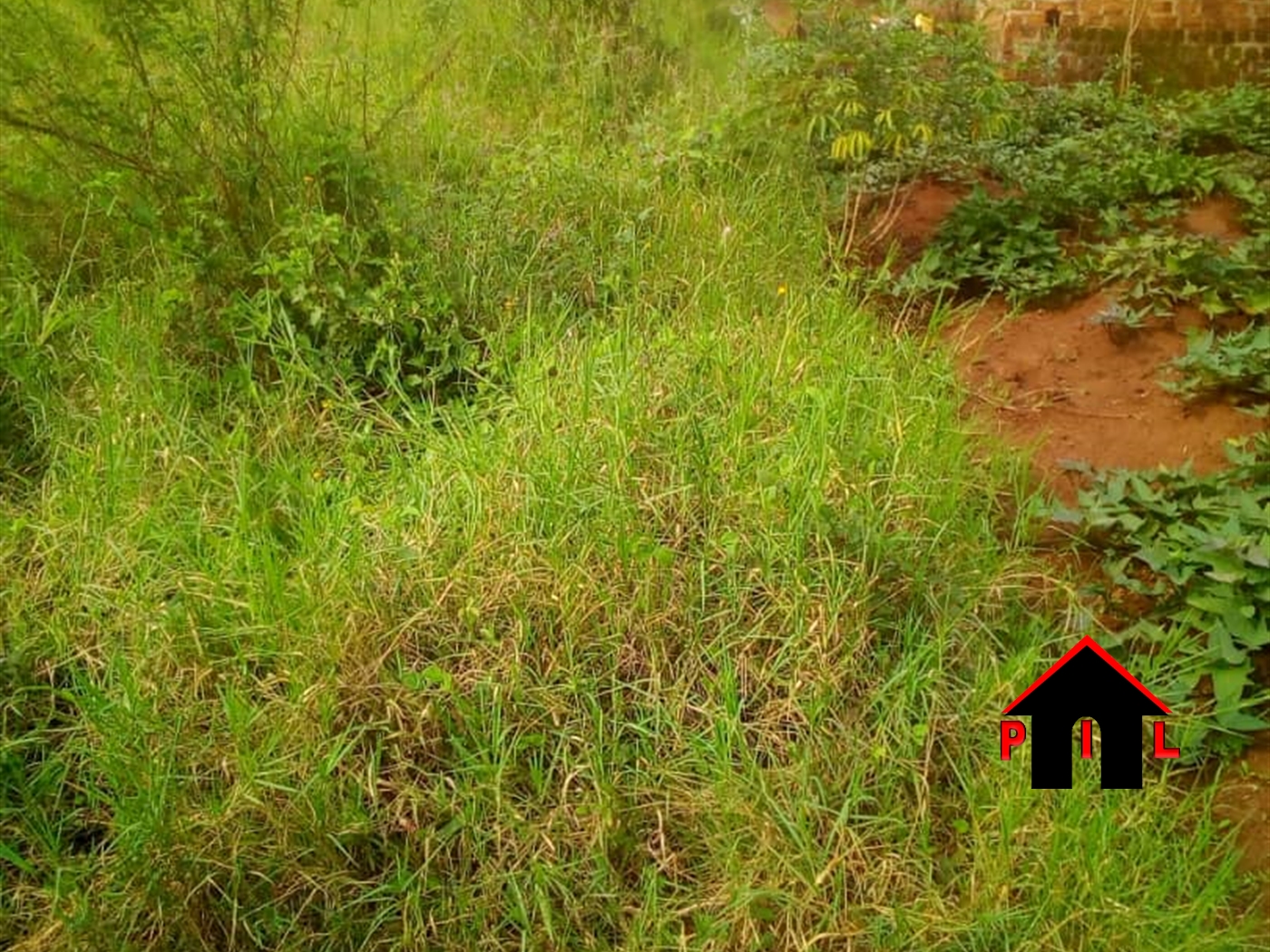 Agricultural Land for sale in Katera Kiboga