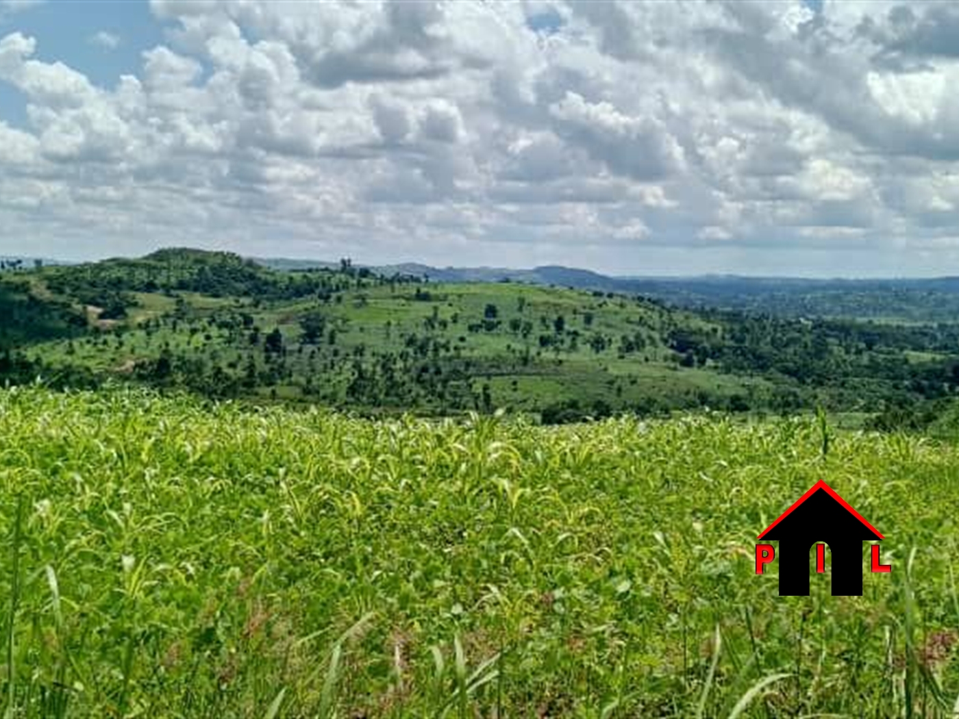 Commercial Land for sale in Hapuyo Kabaale