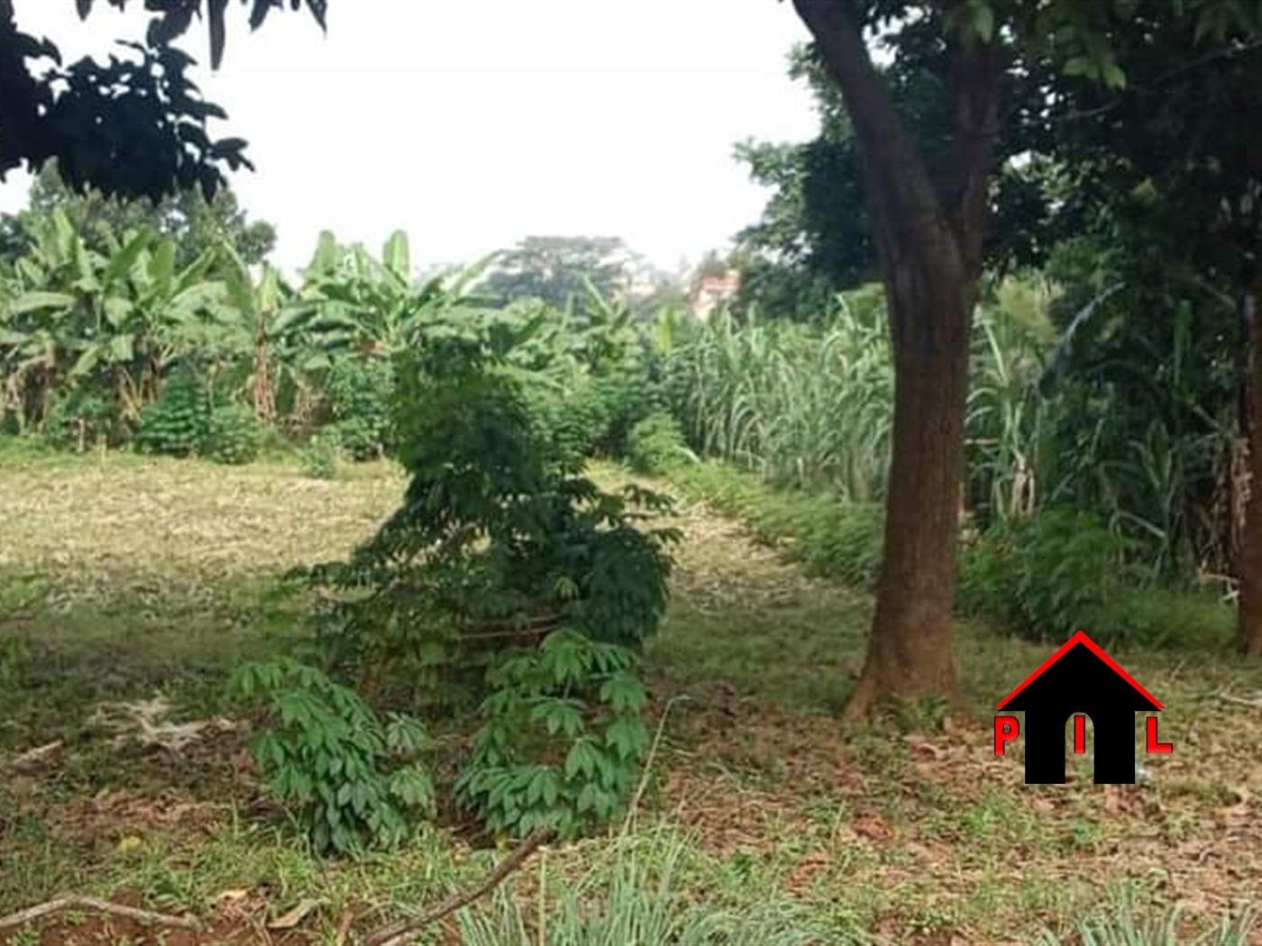 Commercial Land for sale in Kiwaatule Kibaale