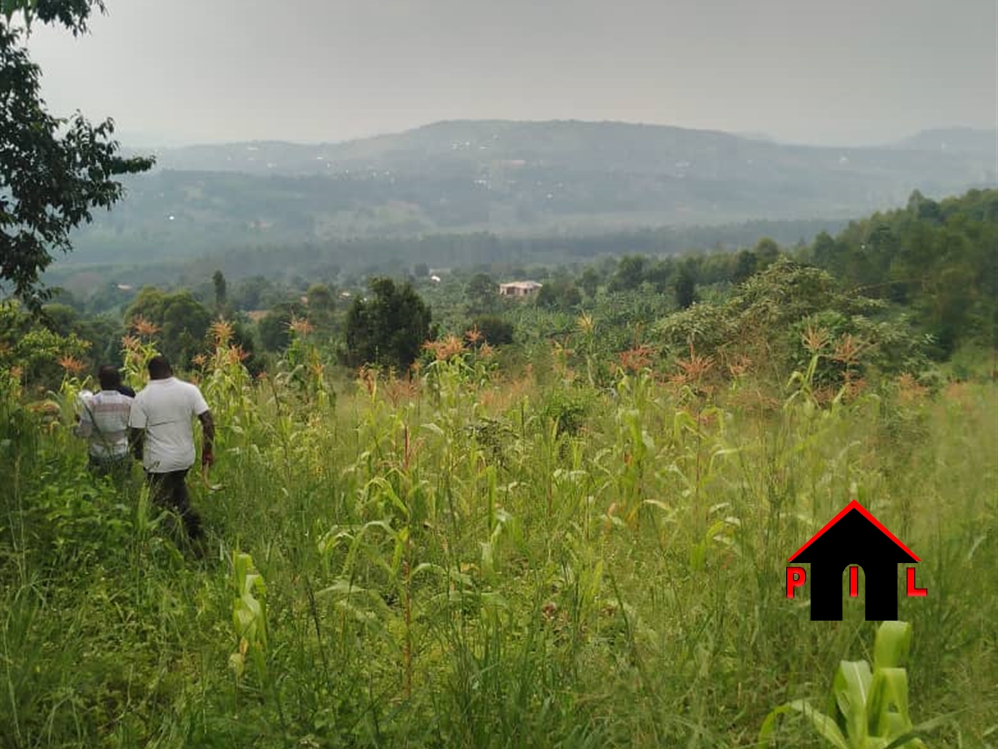Residential Land for sale in Bujuuko Mpigi