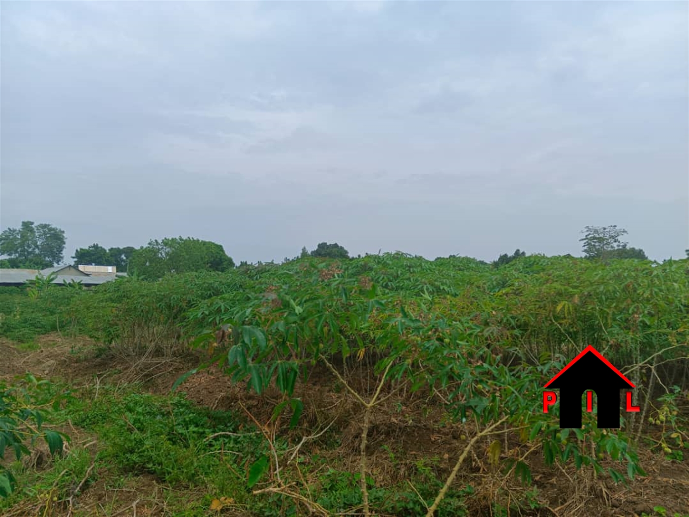 Agricultural Land for sale in Kiruhuura Mbarara