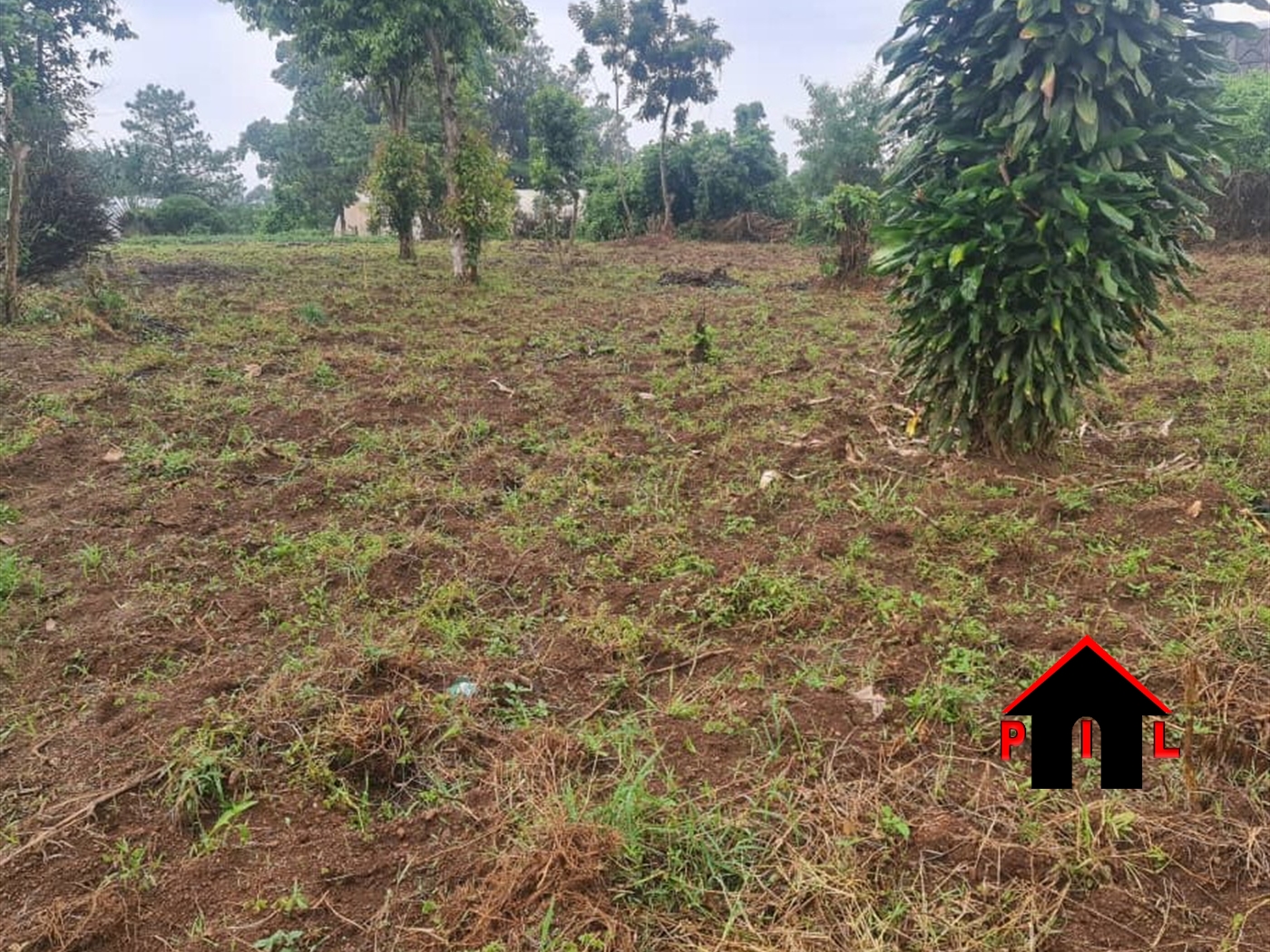 Agricultural Land for sale in Kyambuga Mbarara