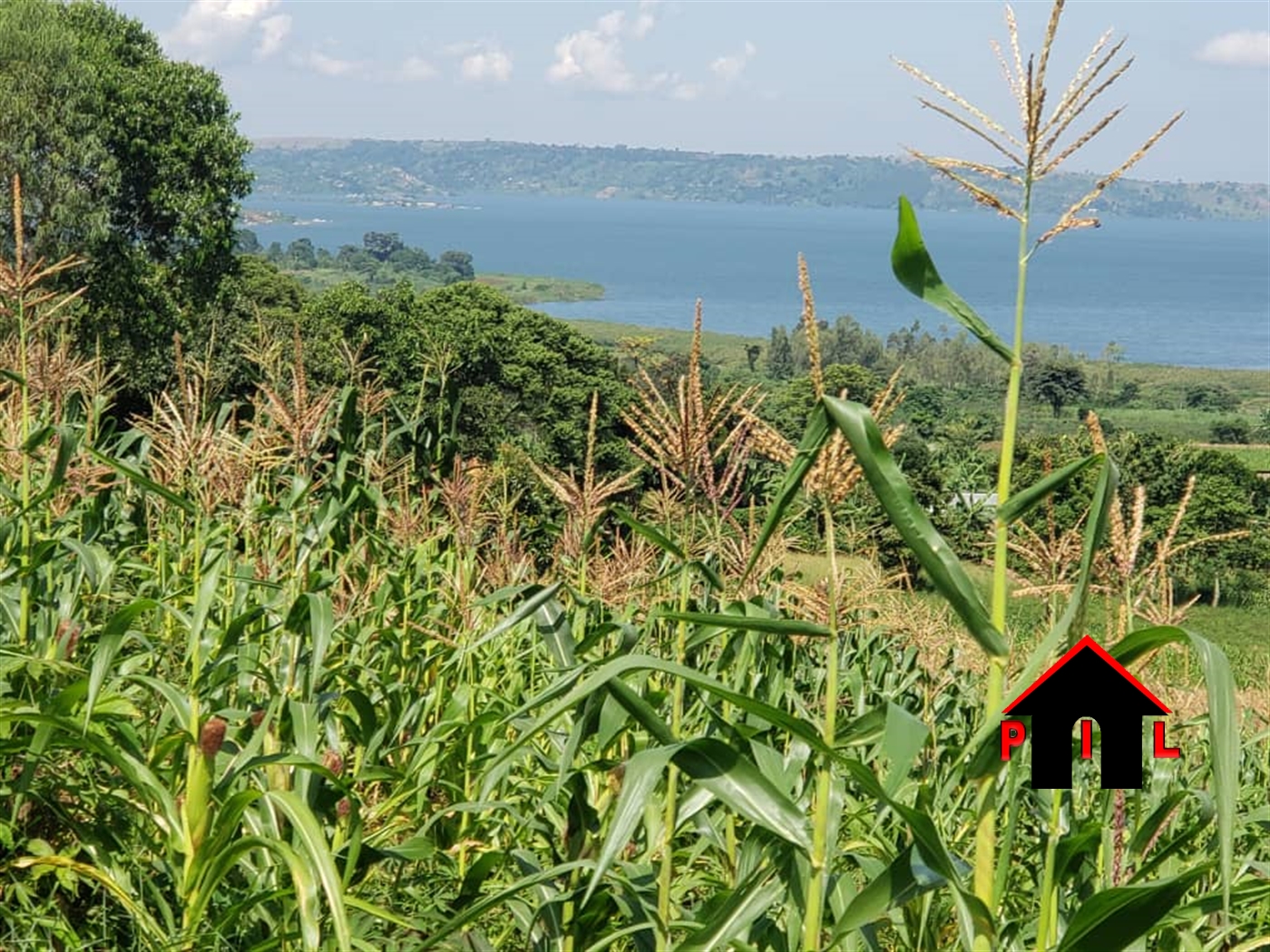 Agricultural Land for sale in Bihanga Mbarara