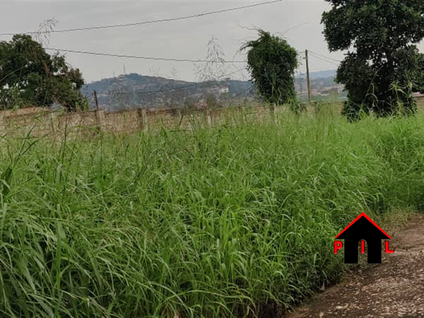 Agricultural Land for sale in Kiruhuura Kiruhura