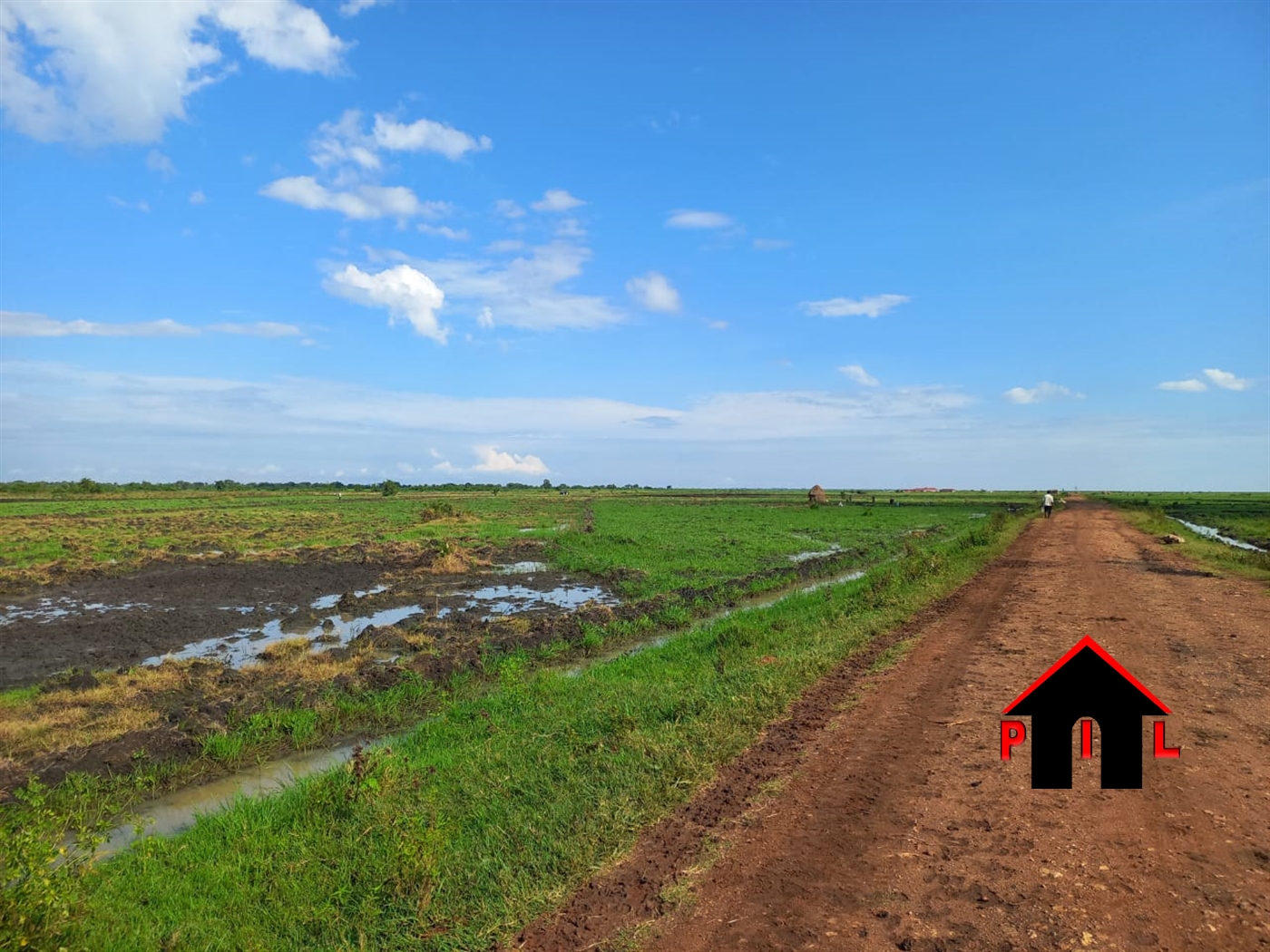 Commercial Land for sale in Biiso Buliisa