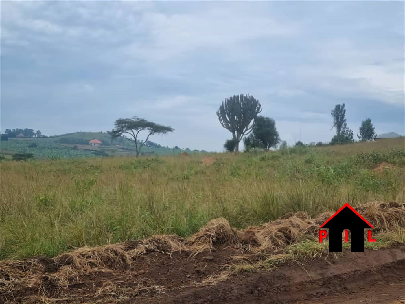 Residential Land for sale in Rukuuba Isingilo
