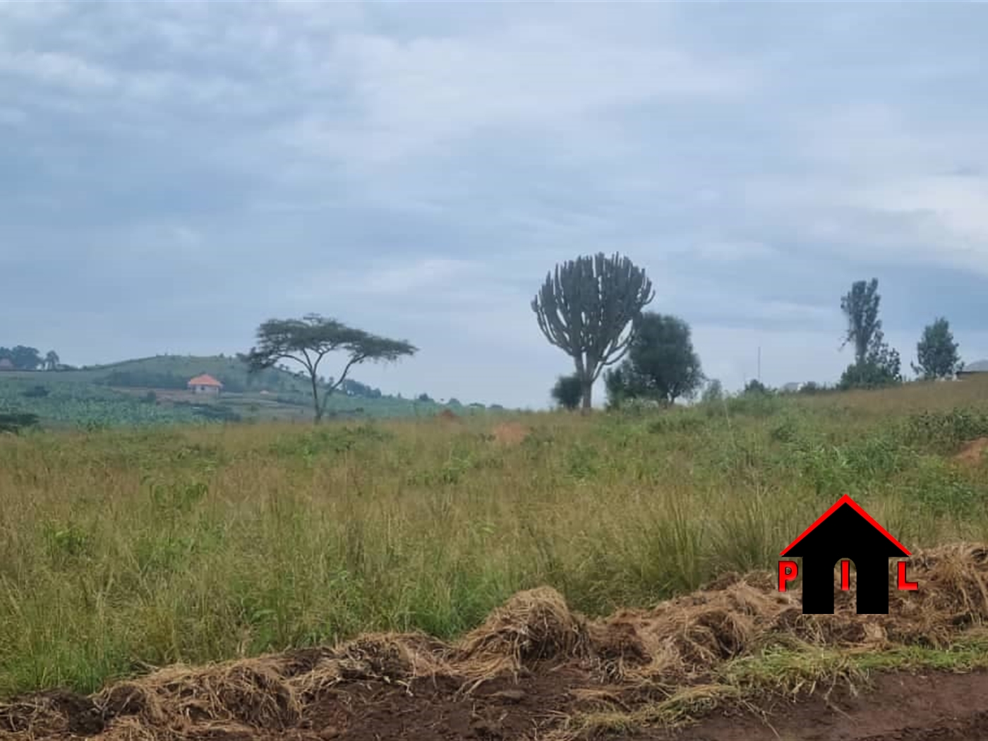 Residential Land for sale in Rukuuba Isingilo