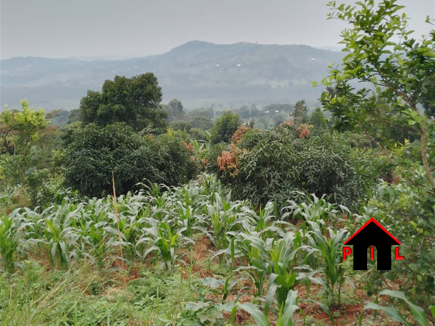 Commercial Land for sale in Bumpenje Wakiso