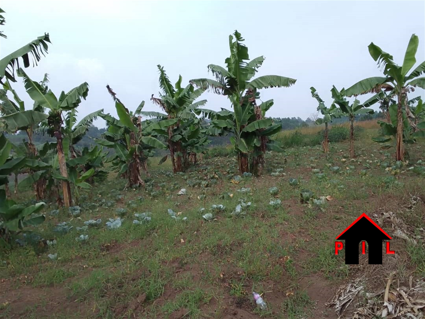 Commercial Land for sale in Fortportal Kabarole