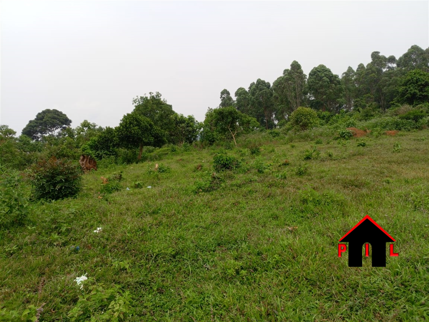 Commercial Land for sale in Wamala Wakiso