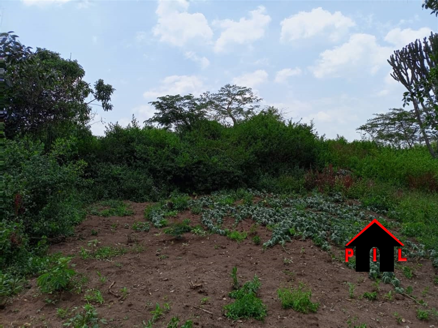 Agricultural Land for sale in Minumwa Nakaseke