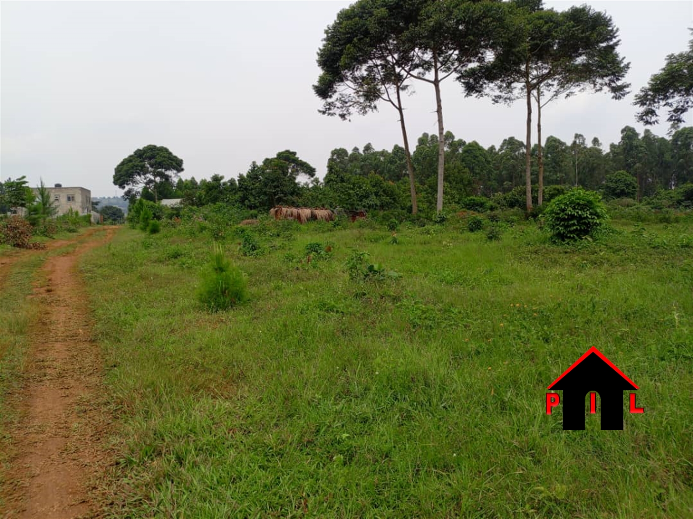 Residential Land for sale in Buwalula Mityana