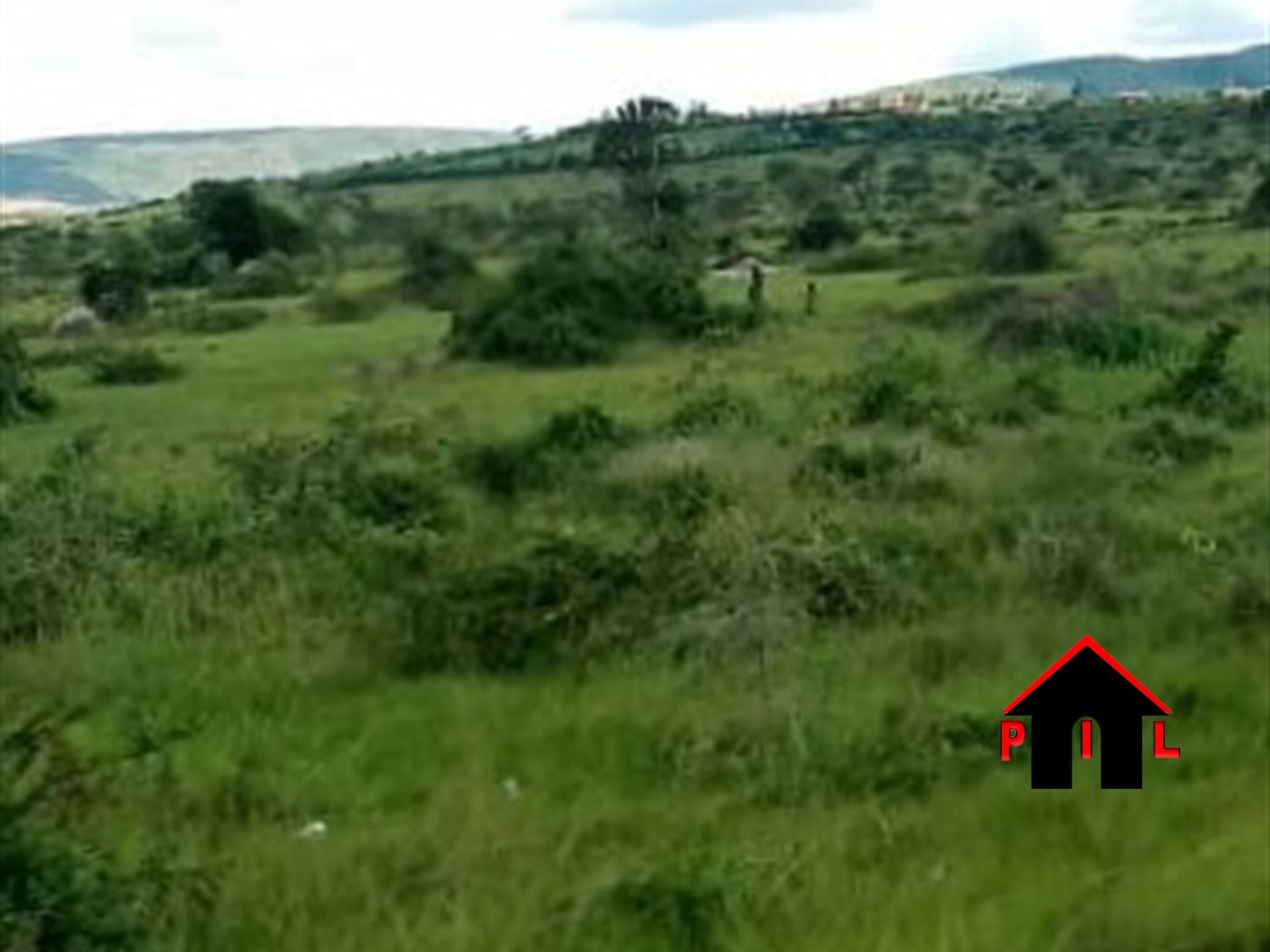 Commercial Land for sale in Bikonzi Masindi