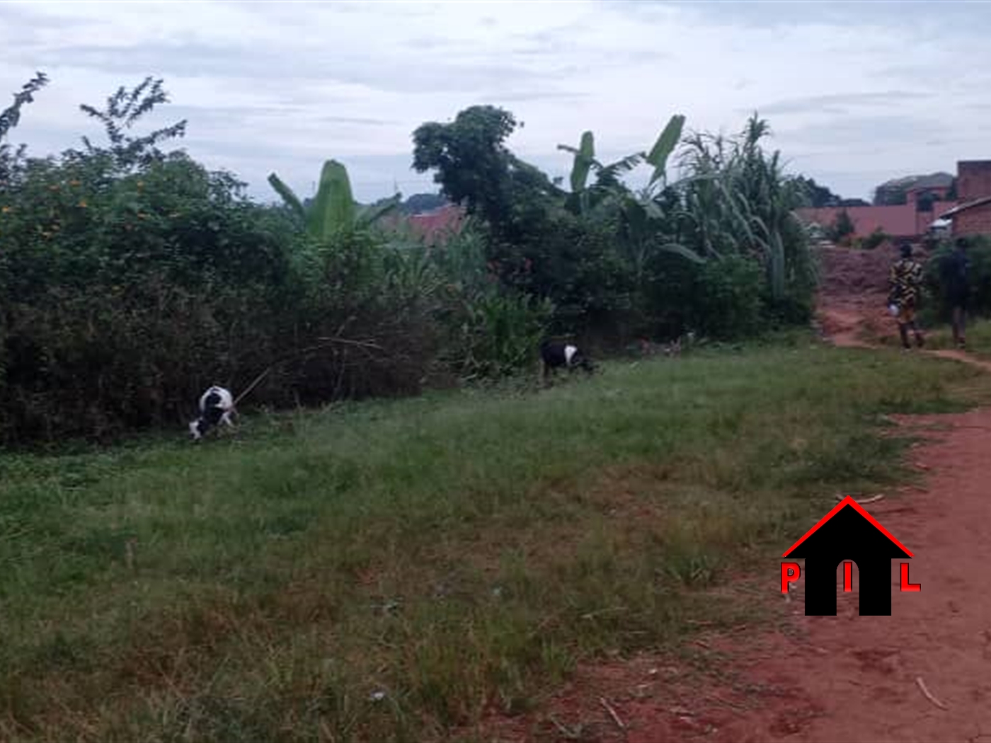 Commercial Land for sale in Konge Kampala