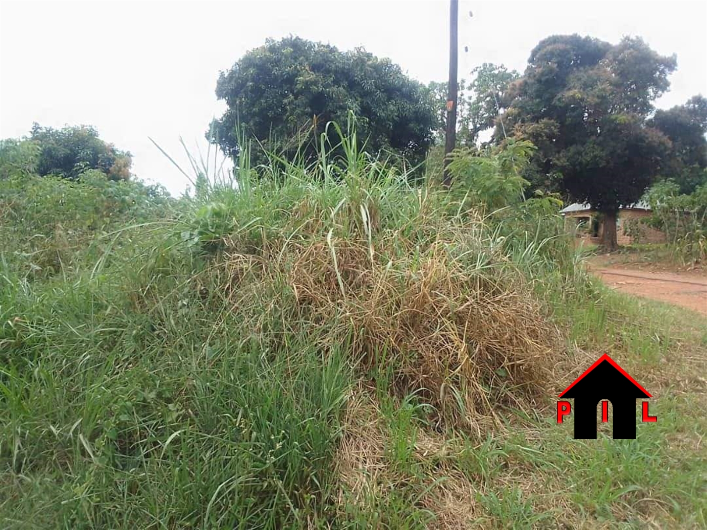 Commercial Land for sale in Kalule Luweero